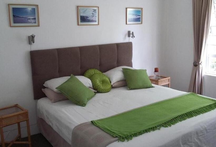 اتاق استاندارد, Sounds Of The Sea