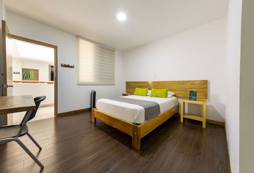 Номер Стандарт, Ayenda Marckia 1901