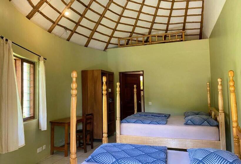 اتاق لوکس, Banda Lodge