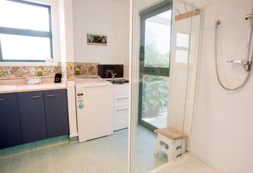 Апартаменты 1 Спальня Нижний Этаж, Emotel Napier