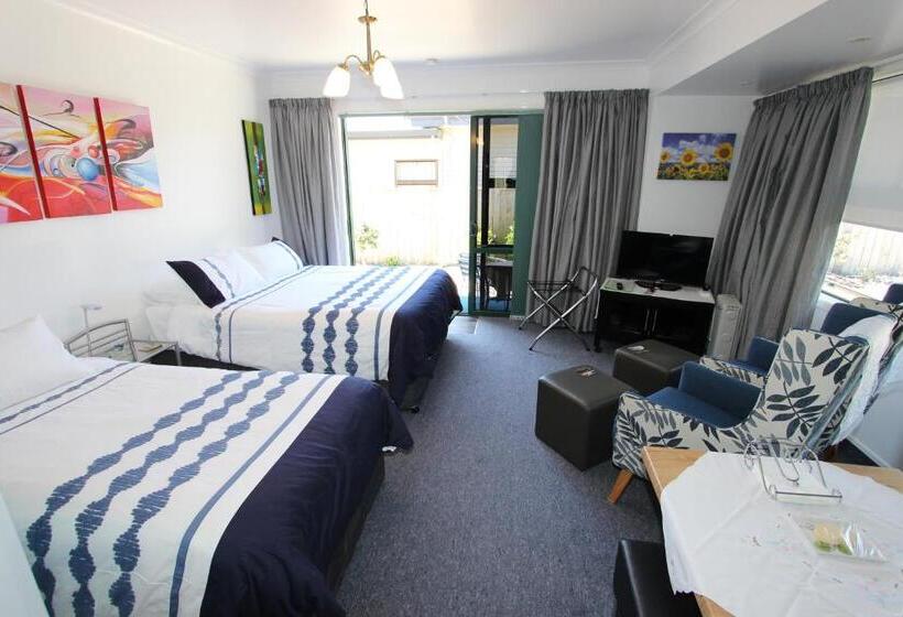 Студия Стандарт, Emotel Napier