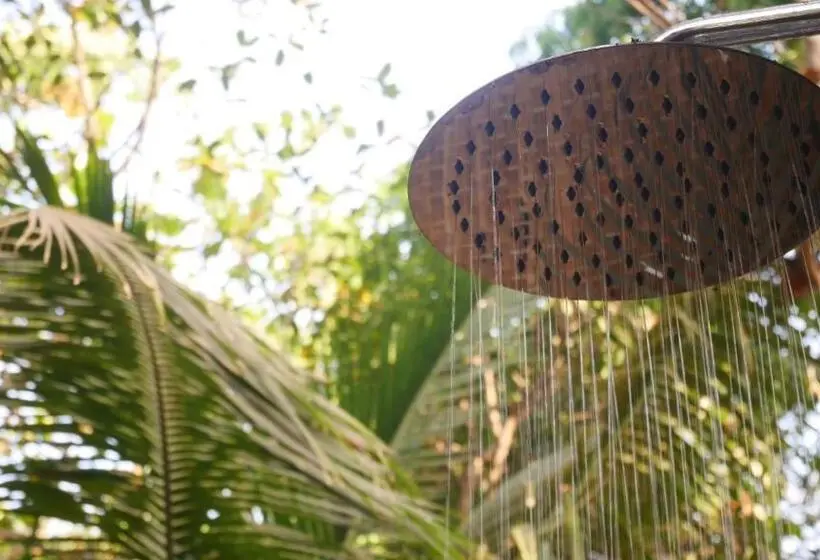 Camera Superiore Letto King, Palm Forest Palolem