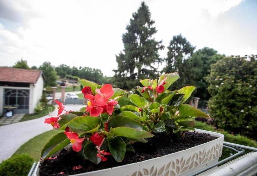 חדר דלוקס עם מרפסת, B&b Villa Ricardi