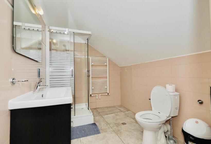 キングサイズベッドのスタンダードルーム, Casa Golopența