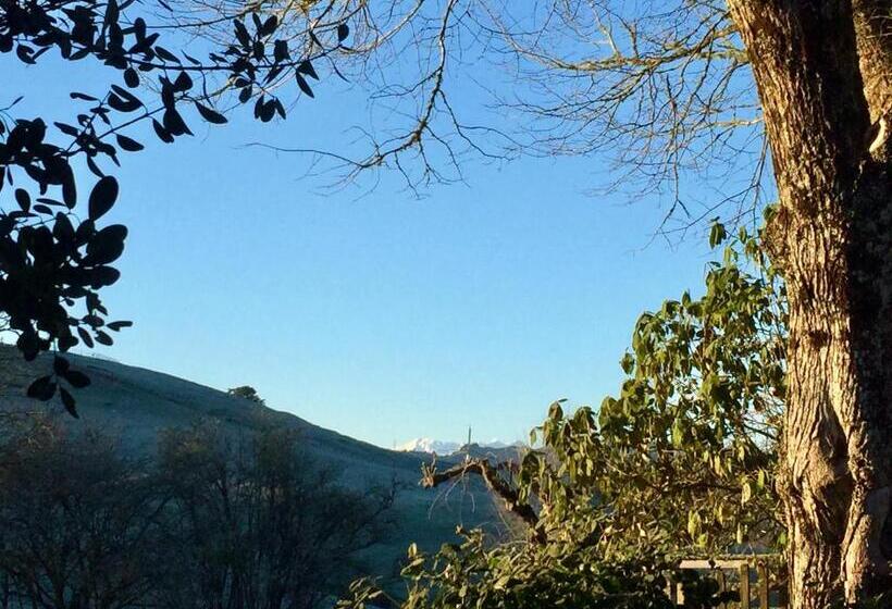 수피리어 스위트, Omaka Lodge