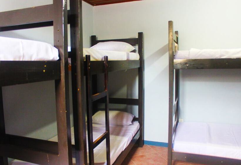 تختخواب در اتاق مشترک, The Queen Hostel