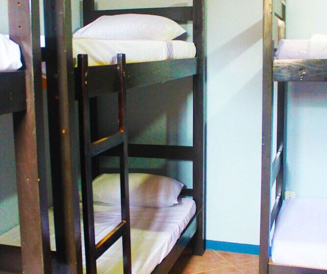 تختخواب در اتاق مشترک, The Queen Hostel
