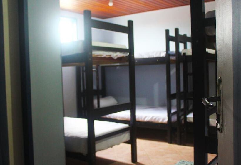 تختخواب در اتاق مشترک, The Queen Hostel