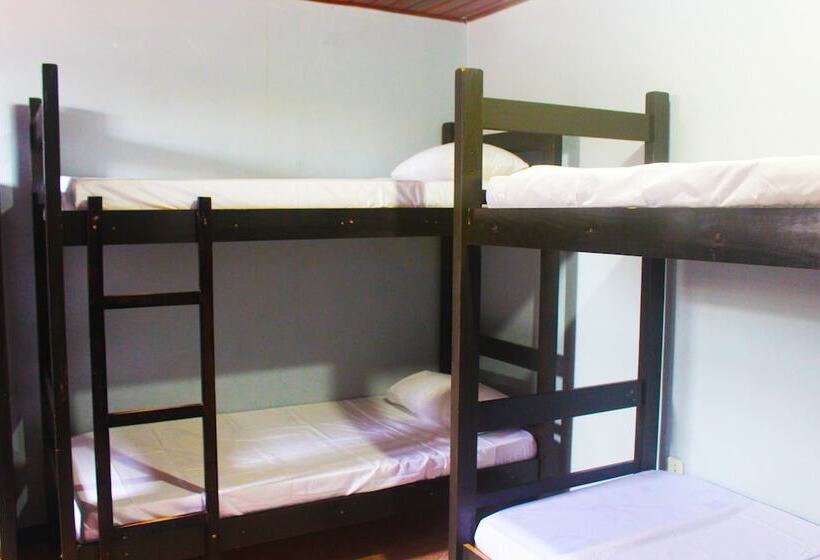 تختخواب در اتاق مشترک, The Queen Hostel