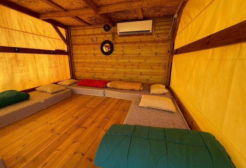 ルームシェアのワンベッド, Ein Gedi Camp Lodge