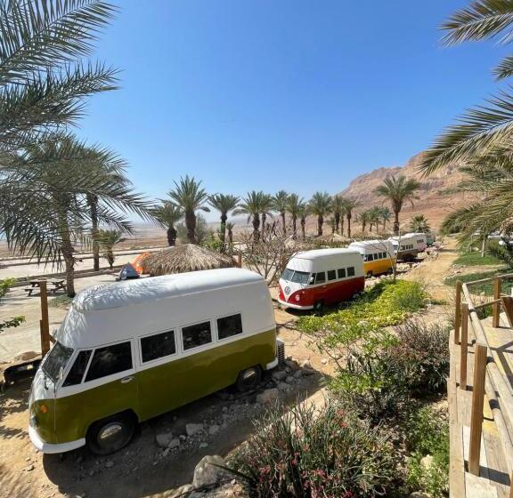 ベーシックルーム, Ein Gedi Camp Lodge
