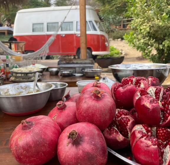 ベーシックルーム, Ein Gedi Camp Lodge