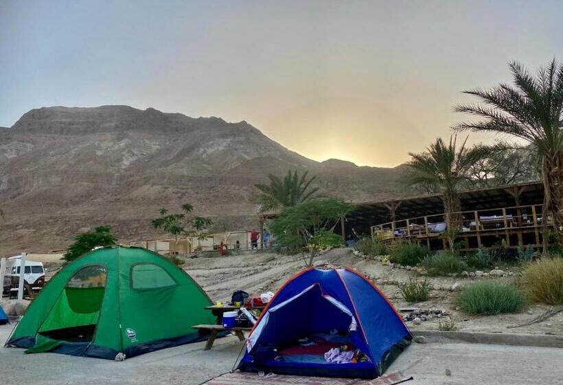 Comfort Tent, Ein Gedi Camp Lodge