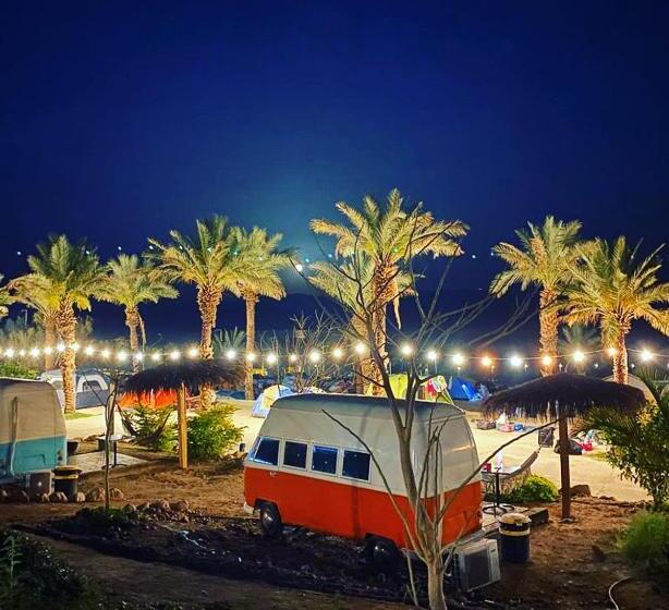 ベーシックルーム, Ein Gedi Camp Lodge