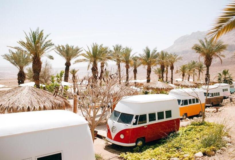 ベーシックルーム, Ein Gedi Camp Lodge