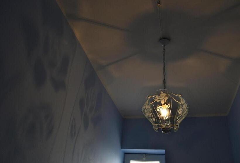 غرفة قياسية رباعية, Palmarì