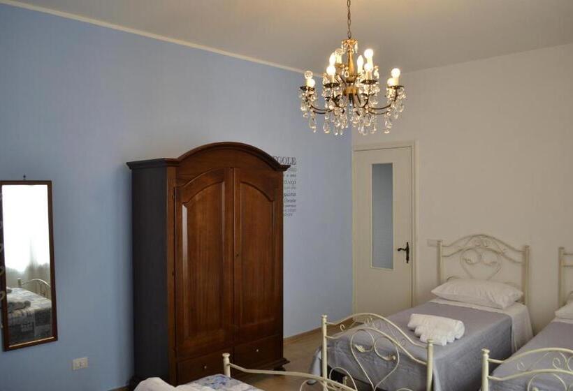 غرفة قياسية رباعية, Palmarì