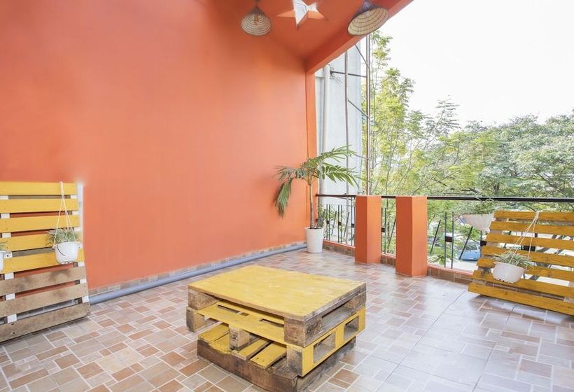 تختخواب در اتاق مشترک, Hangout Hostel Hcm