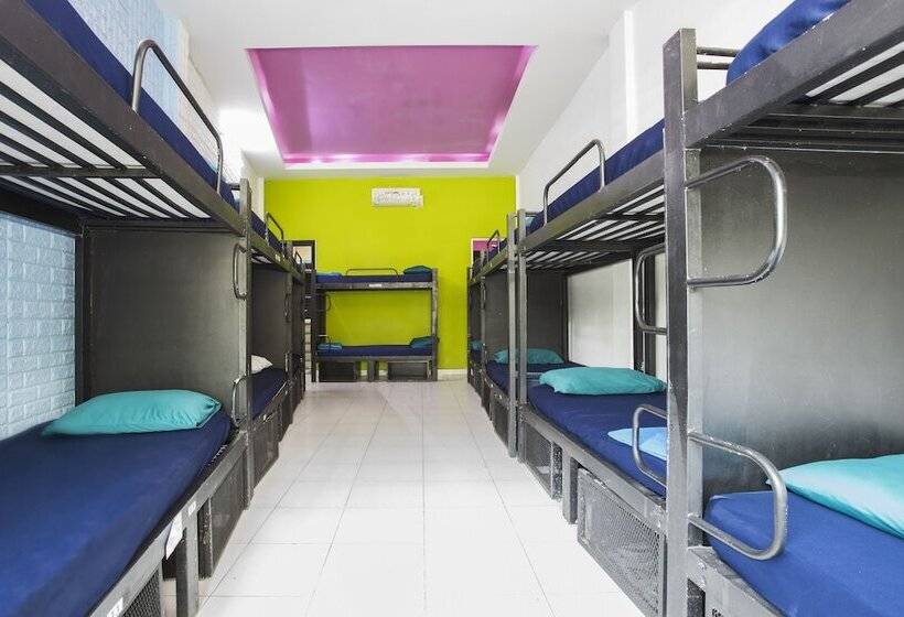 تختخواب در اتاق مشترک, Hangout Hostel Hcm