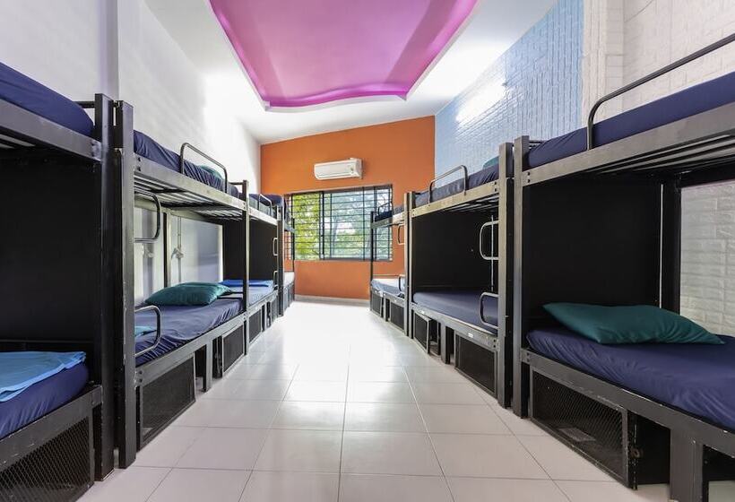 تختخواب در اتاق مشترک, Hangout Hostel Hcm