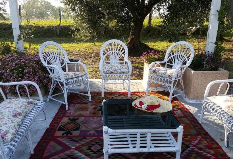 Номер Стандарт Трехместный, Agriturismo Heaven