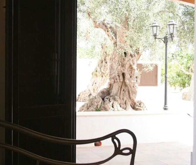 标准间, Terra Dei Limoni