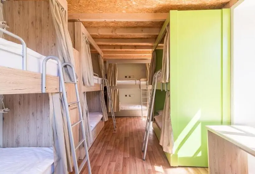 تختخواب در اتاق مشترک, Hostel Antique