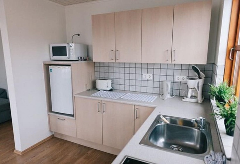 آپارتمان 2 خوابه, Malarhorn Guesthouse