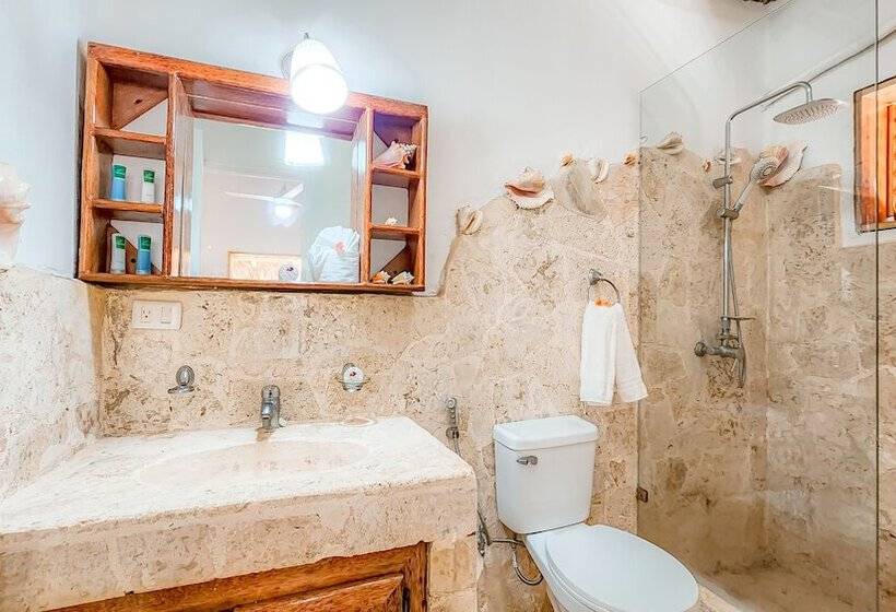 اتاق استاندارد, Paradiso Del Caribe