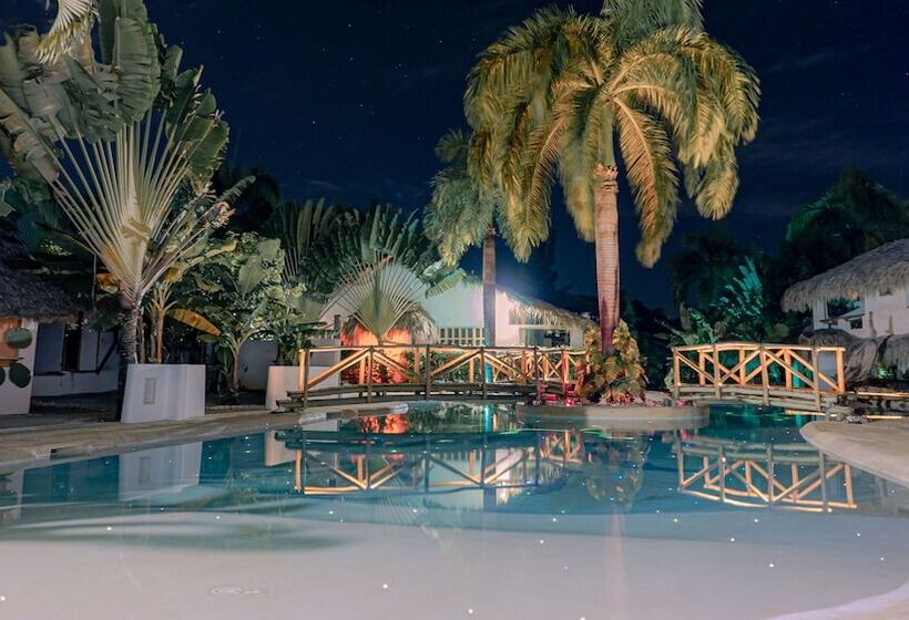 اتاق استاندارد, Paradiso Del Caribe