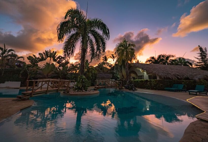 اتاق استاندارد, Paradiso Del Caribe