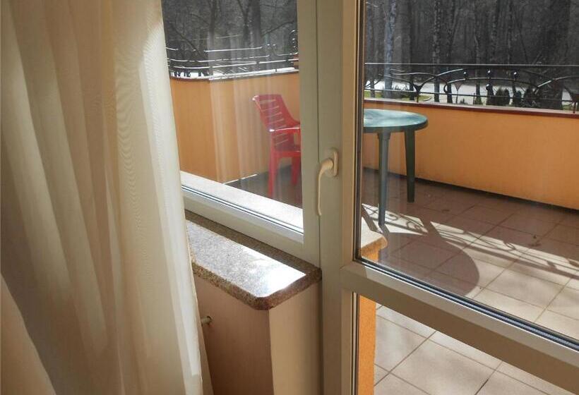 חדר סופריור, Complex Zelenyi Gai