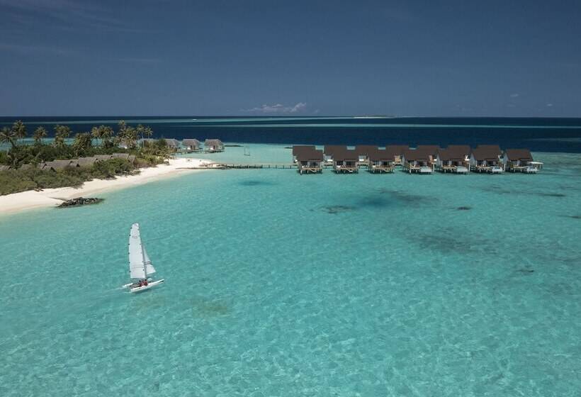 ویلای یک اتاق خوابه با استخر شنا, Fushifaru Maldives