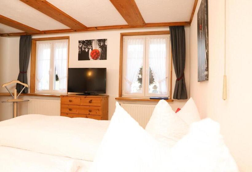 Номер Стандарт, Pension Baarblick