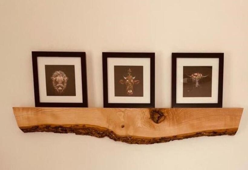 Номер Стандарт Индивидуальный, Pension Baarblick