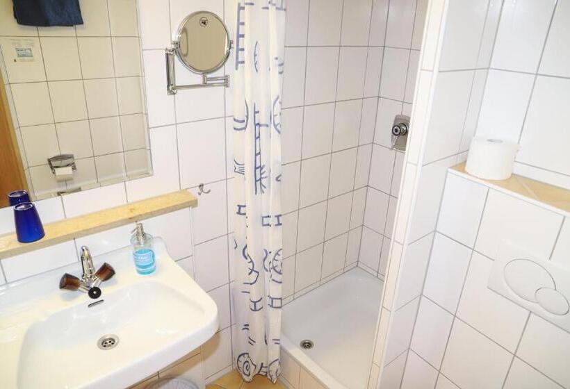 Номер Стандарт Индивидуальный, Pension Baarblick