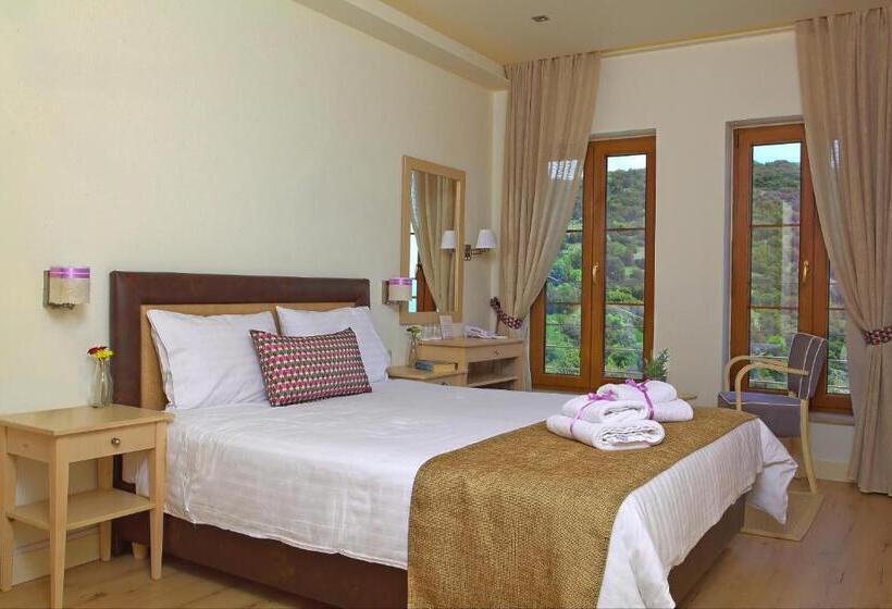 Superior room with lake view, Arktos