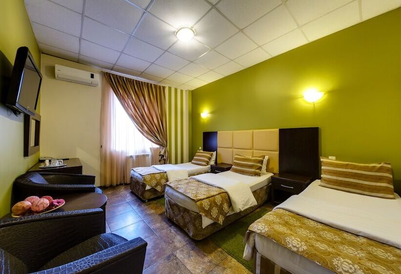 스탠다드 룸, Marton Turgeneva