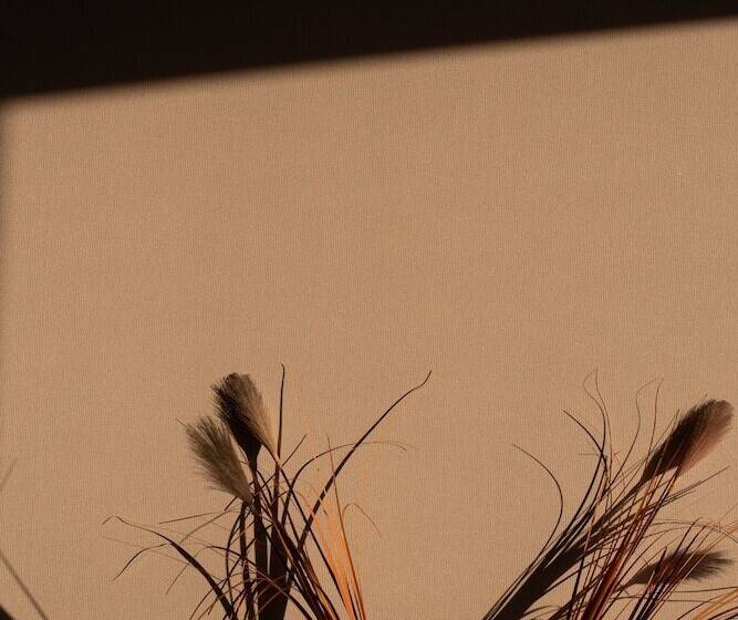 غرفة ديلوكس مطلّة علي الحديقة, Mett Hotel & Beach Resort Bodrum