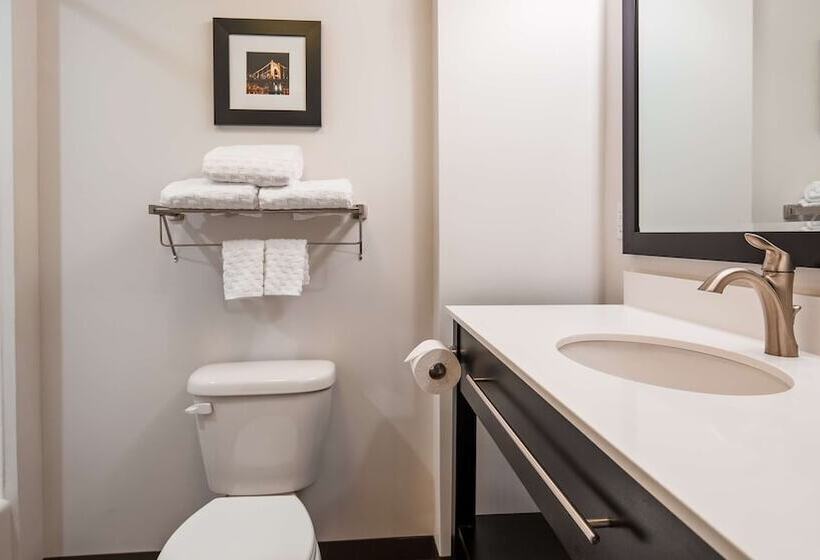 Люкс Адаптированный для Инвалидов, Best Western Plus Cranberrypittsburgh North