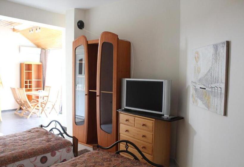 스탠다드 스튜디오 정원 전망, Galeria In The Garden