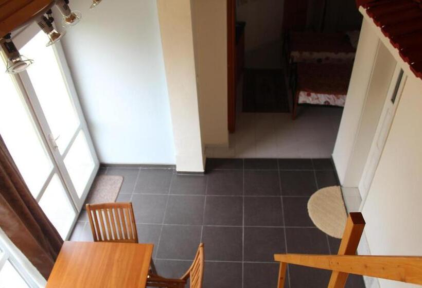 스탠다드 스튜디오 정원 전망, Galeria In The Garden