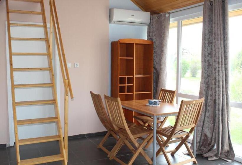 스탠다드 스튜디오 정원 전망, Galeria In The Garden