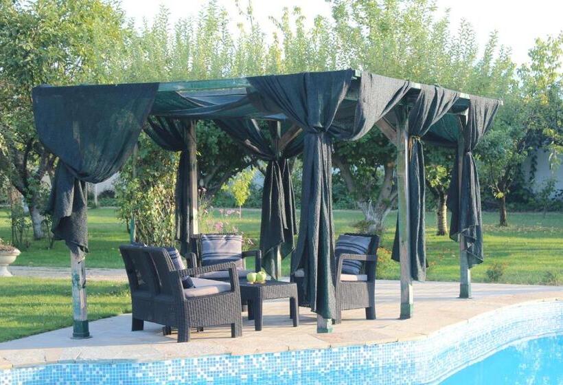 استودیوی استاندارد, Galeria In The Garden