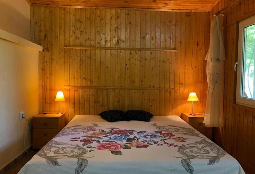 스탠다드 스튜디오, Galeria In The Garden