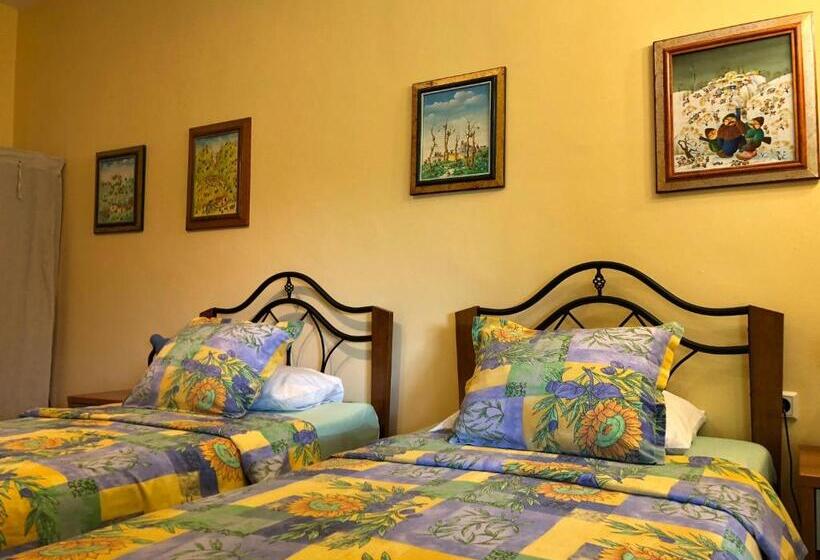 스탠다드 스튜디오 정원 전망, Galeria In The Garden