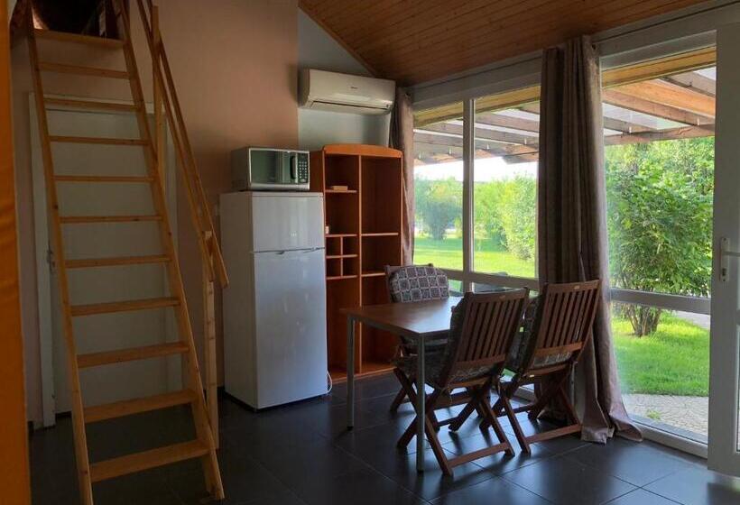 스탠다드 스튜디오 정원 전망, Galeria In The Garden