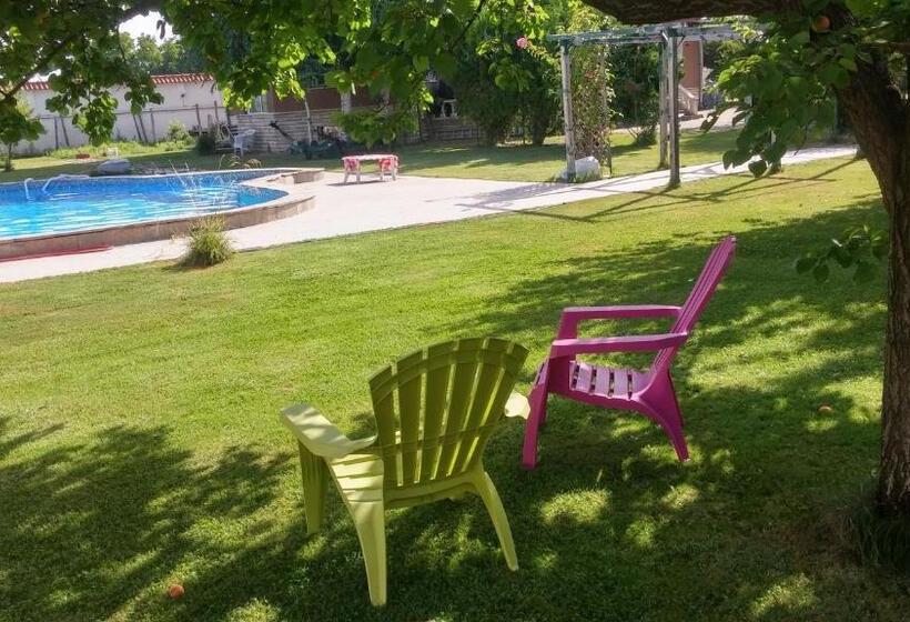 스탠다드 룸, Galeria In The Garden