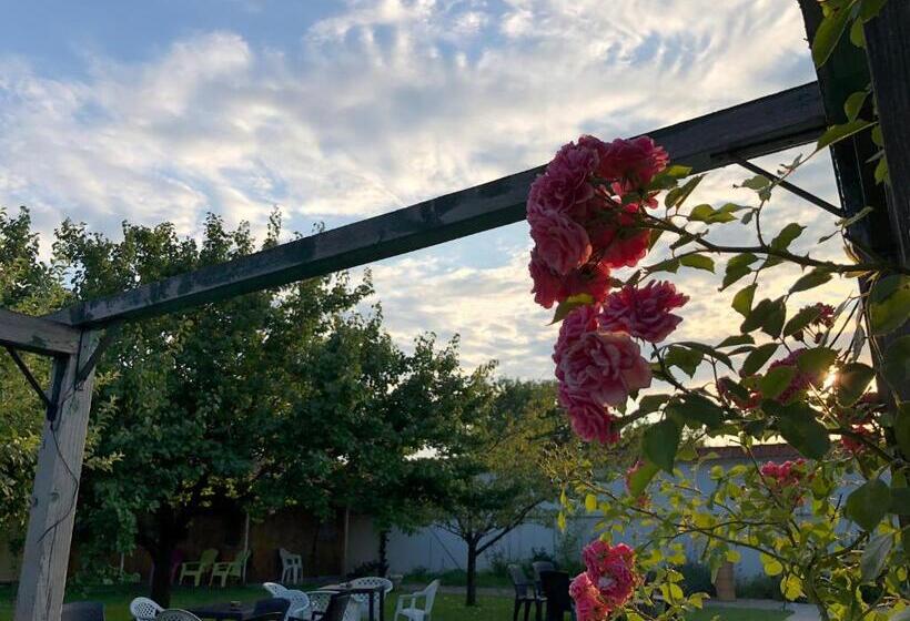 스탠다드 룸, Galeria In The Garden