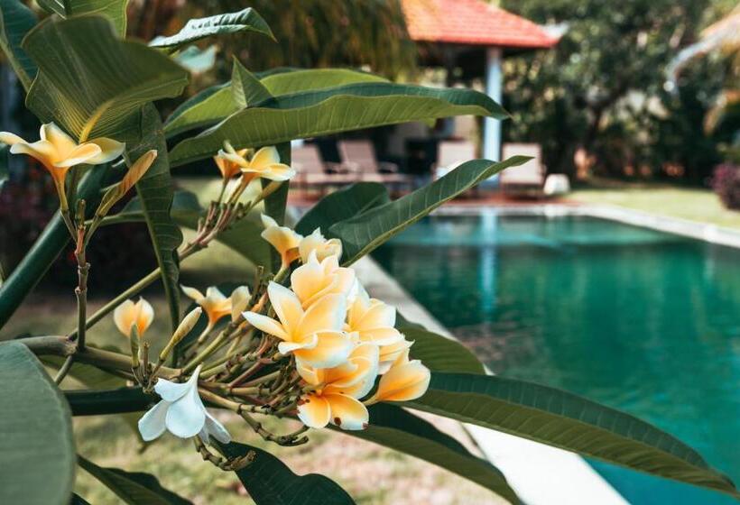 Bungalow Deluxe, Bali Mynah Villas Resort